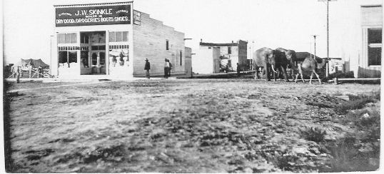 Circus of Elephants and Camels near the General Store