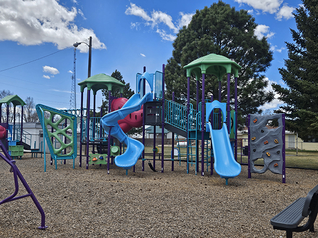 Blanca Park Play Structure with Slides