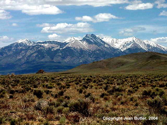 High Desert Prairie